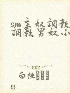 sm主奴调教:调教男奴小说