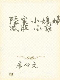 陆家小媳妇无删减版 小说