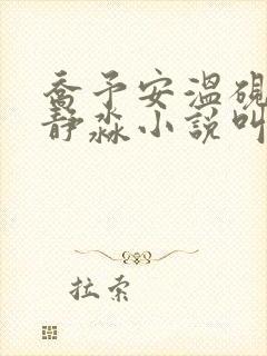 乔予安温砚深沈静淼小说叫什么名字