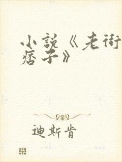 小说《老街中的痞子》