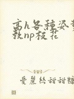 高h各种姿势调教np校花封面