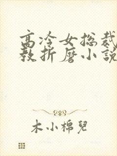 高冷女总裁被调教折磨小说