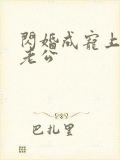 闪婚成宠上司是老公