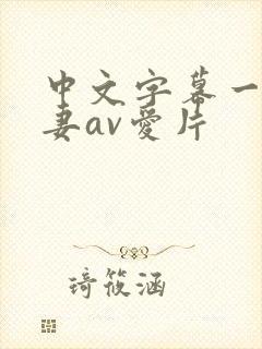 中文字幕一级人妻av爱片