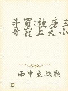 斗罗:被唐三哥哥宠上天小说观看