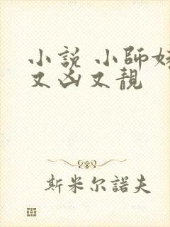 小说 小师妹她又凶又靓