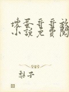 坏蛋哥哥放了我小说免费阅读