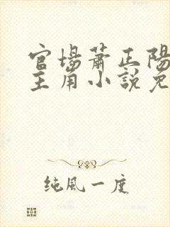 官场萧正阳李冰主角小说免费阅读