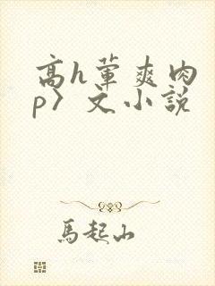 高h荤爽肉〈np〉文小说