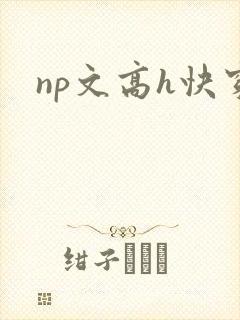 np文高h快穿