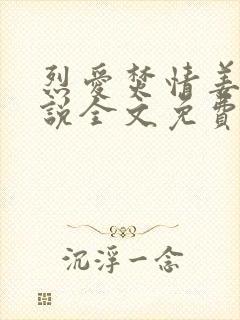 烈爱焚情姜媛小说全文免费阅读正版