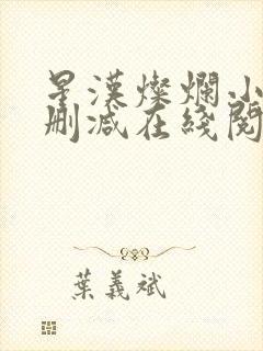 星汉灿烂小说无删减在线阅读