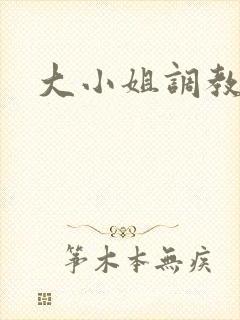 大小姐调教小说