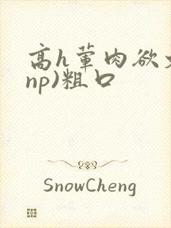 高h荤肉欲文(np)粗口