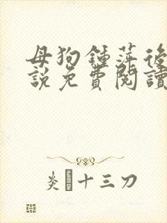 母狗钟萍后传小说免费阅读最新章节