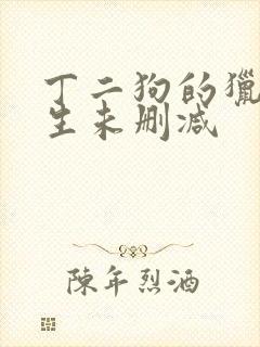 丁二狗的猎艳人生未删减