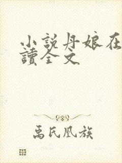 小说丹娘在线阅读全文封面