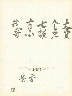 我有七个大佬哥哥小说免费下载封面