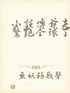 小说傅爷夫人又惊艳全球了免费