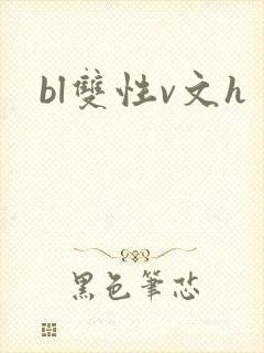bl双性v文h封面