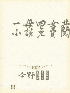 一母四女共一婿小说免费阅读胡本兴