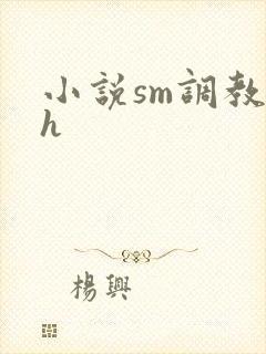小说sm调教高h
