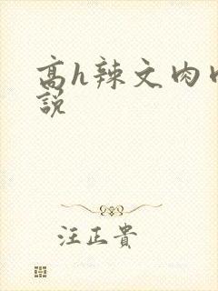 高h辣文肉肉小说封面