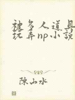 被多人道具调教玩弄np小说