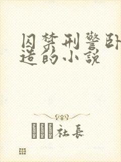 囚禁刑警卧底改造的小说