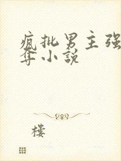 疯批男主强取豪夺小说