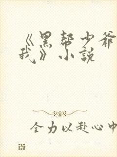 《黑帮少爷爱上我》小说封面