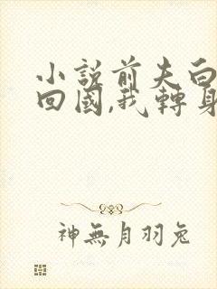 小说前夫白月光回国,我转身嫁给他大哥