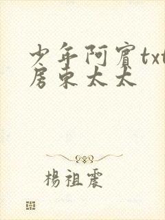 少年阿宾txt房东太太