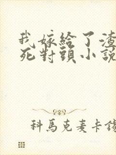 我嫁给了渣男的死对头小说免费阅读