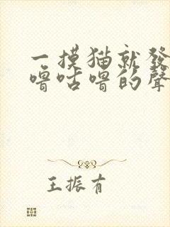 一摸猫就发出咕噜咕噜的声音封面