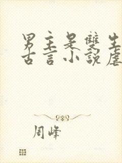 男主是双生子的古言小说虐文