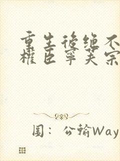 重生后绝不嫁给权臣宁芙宗肆封面