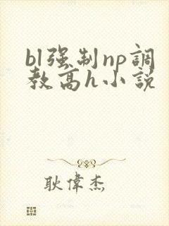 bl强制np调教高h小说