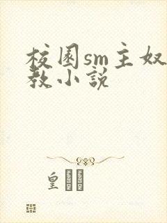 校园sm主奴调教小说