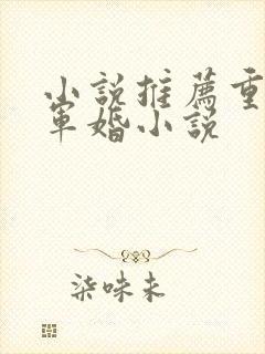 小说推荐重生文军婚小说