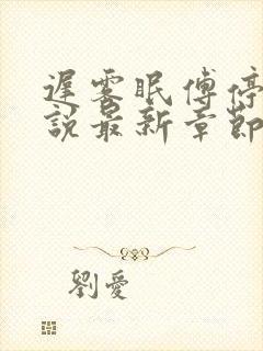 迟雾眠傅停舟小说最新章节