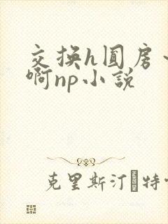 交换h圆房～嗯啊np小说