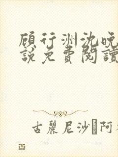 顾行洲沈晚宁小说免费阅读最新章节