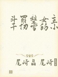 斗罗双女主cp千仞雪的小说推荐封面