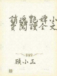 销魂艳婢小说免费阅读全文