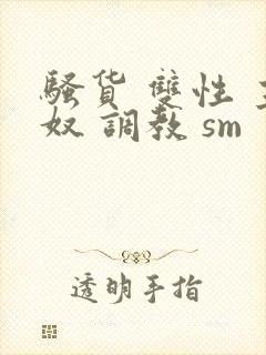 骚货 双性 主奴 调教 sm