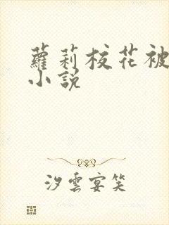 萝莉校花被插的小说