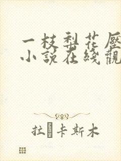 一枝梨花压海棠小说在线观看