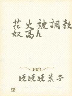 花火被调教成肉奴高h