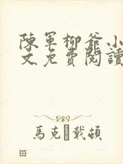 陈军柳爷小说全文免费阅读最新章节